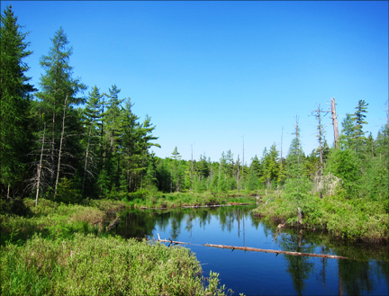 Adirondack Wetland:  Canoe Launch at the Paul Smiths VIC